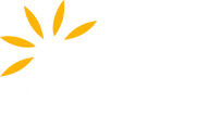 Anise Partners